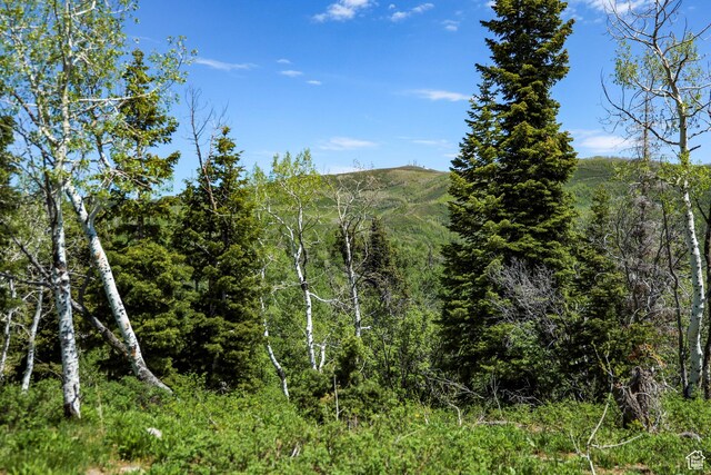 1172 W Maple Pl, Coalville, UT 84017