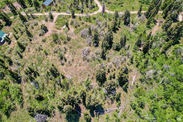 1172 W Maple Pl, Coalville, UT 84017