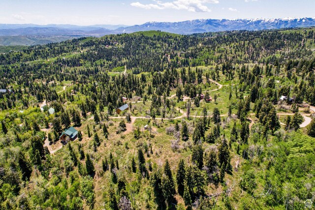 1172 W Maple Pl, Coalville, UT 84017