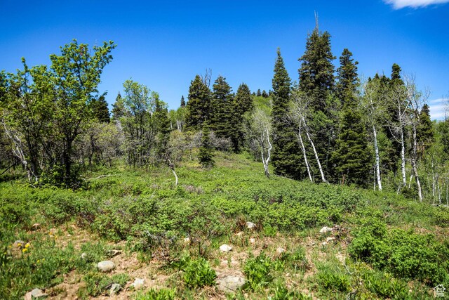 1172 W Maple Pl, Coalville, UT 84017