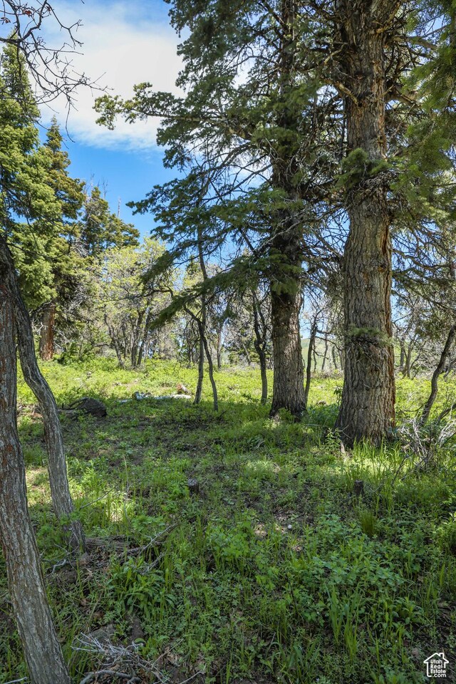 1172 W Maple Pl, Coalville, UT 84017