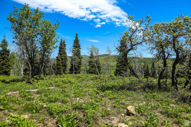 1172 W Maple Pl, Coalville, UT 84017