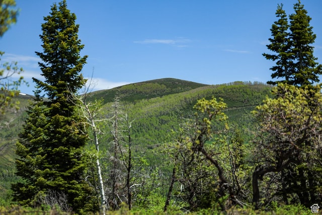 1172 W Maple Pl, Coalville, UT 84017