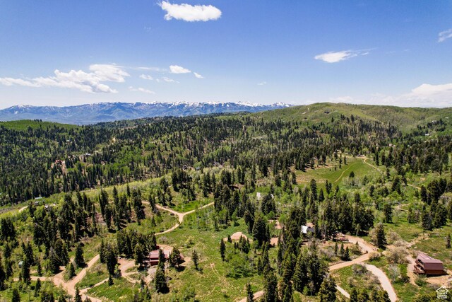 1172 W Maple Pl, Coalville, UT 84017