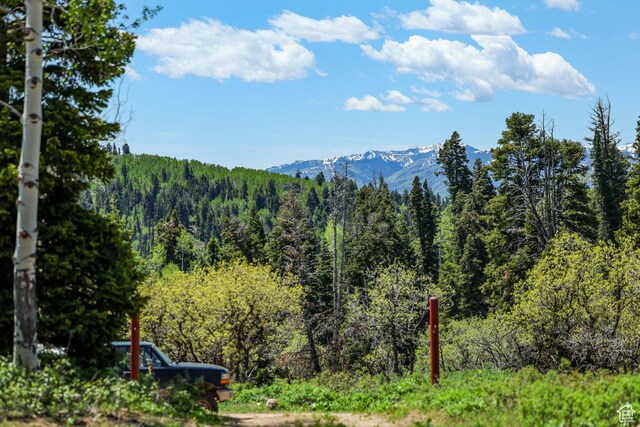 1172 W Maple Pl, Coalville, UT 84017