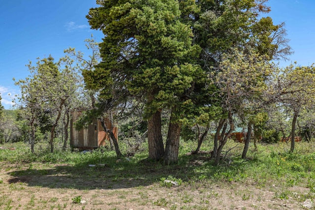 1172 W Maple Pl, Coalville, UT 84017