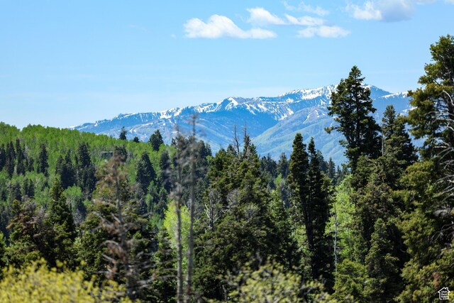 1172 W Maple Pl, Coalville, UT 84017