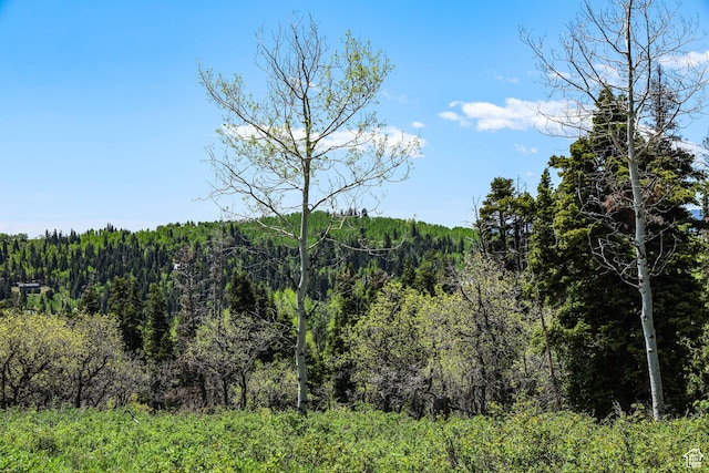 1172 W Maple Pl, Coalville, UT 84017