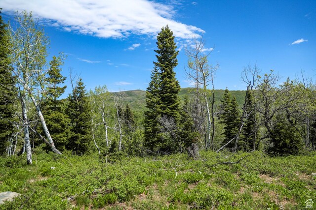 1172 W Maple Pl, Coalville, UT 84017