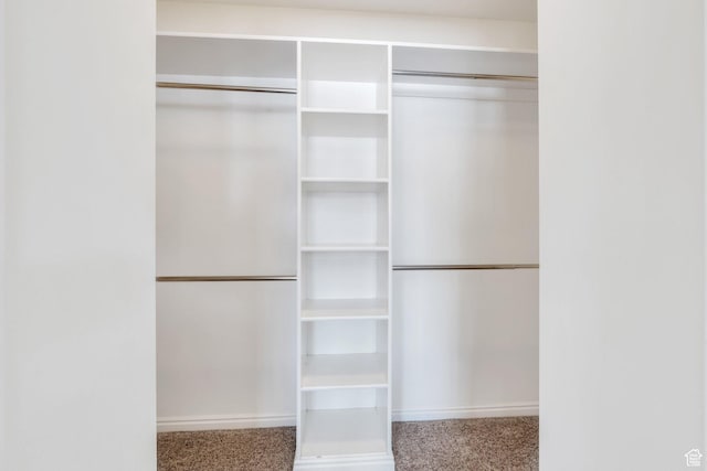 492 W 175 N, Orem, UT 84057 - view of closet