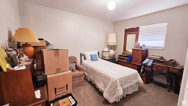 443 S 600 W, Vernal, UT 84078 - bedroom featuring carpet flooring