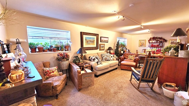 443 S 600 W, Vernal, UT 84078 - living room with light carpet and rail lighting