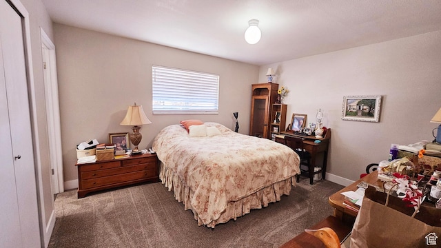 443 S 600 W, Vernal, UT 84078 - bedroom featuring dark carpet and baseboards