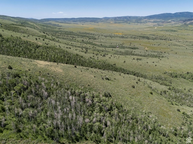 Avon, UT 84328 - photo 23