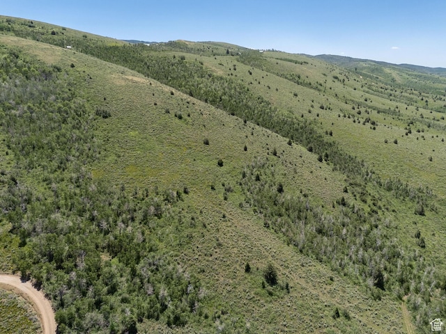 Avon, UT 84328 - photo 16