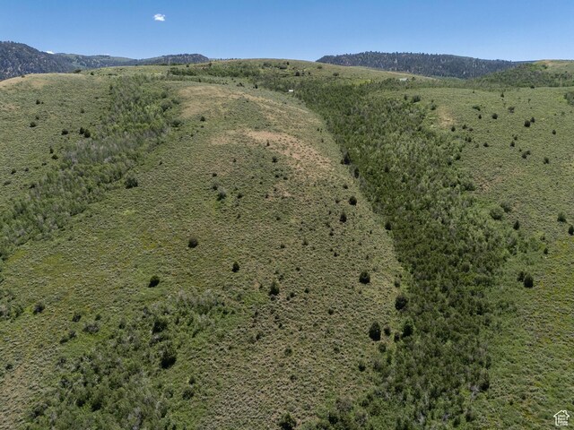 Avon, UT 84328 - photo 10