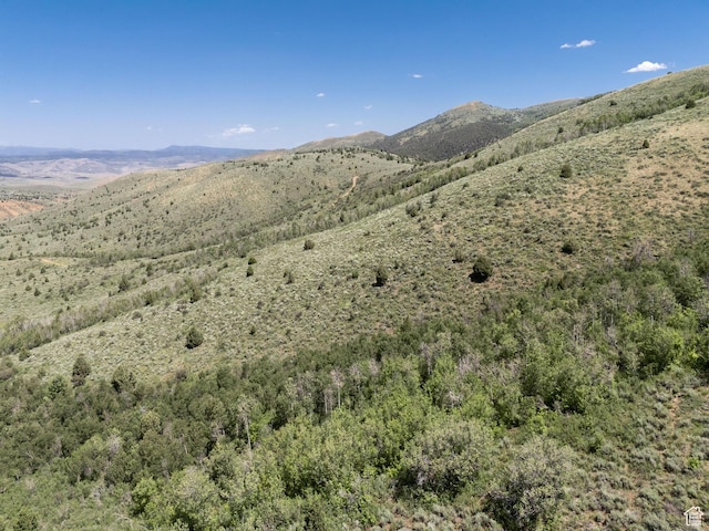 Avon, UT 84328 - photo 12