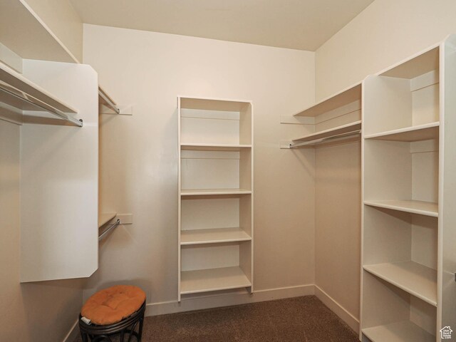 220 S 1970 E, Heber City, UT 84032 - walk in closet with dark carpet