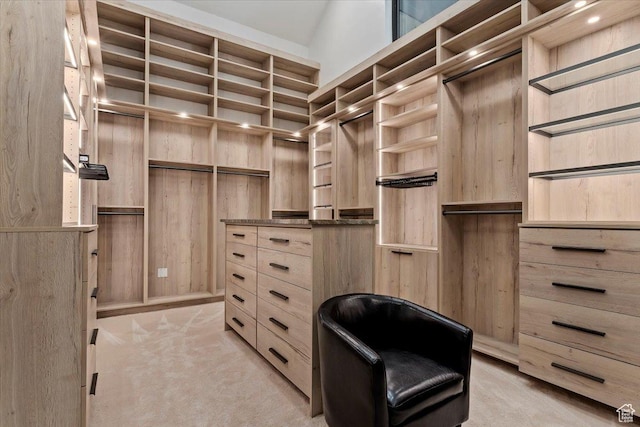 1449 S Devonshire Dr, Salt Lake City, UT 84108 - spacious closet featuring light colored carpet