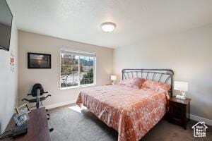 8836 W 3200 S, Cedar City, UT 84720 - carpeted bedroom featuring baseboards