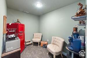 8836 W 3200 S, Cedar City, UT 84720 - recreation room with carpet floors