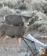 8836 W 3200 S, Cedar City, UT 84720 - view of details