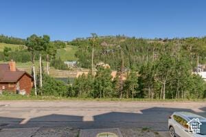 565 S Vasels Rd E Unit 6G, Brian Head, UT 84719 - view of street