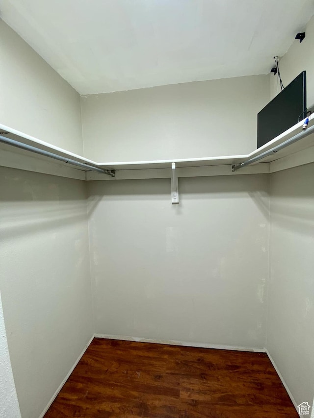 walk in closet featuring wood finished floors