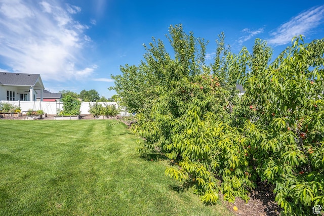 81 E 600 N, Mapleton, UT 84664 - view of yard with fence