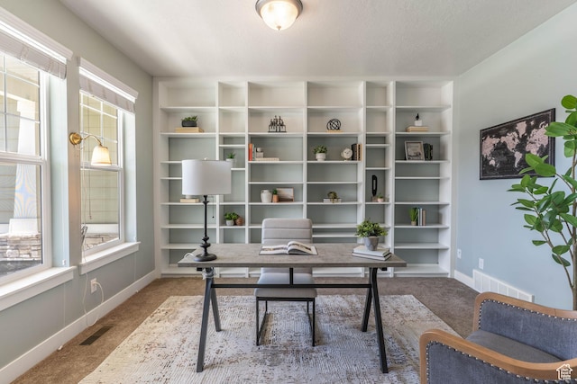 81 E 600 N, Mapleton, UT 84664 - office area with baseboards, a healthy amount of sunlight, carpet flooring, and visible vents