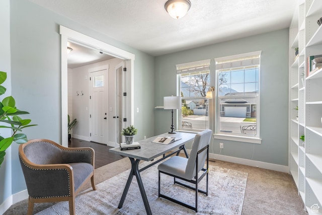 81 E 600 N, Mapleton, UT 84664 - home office with baseboards