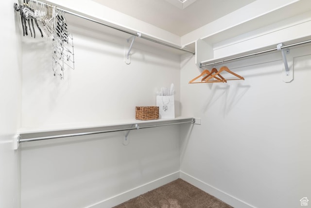 81 E 600 N, Mapleton, UT 84664 - walk in closet featuring carpet