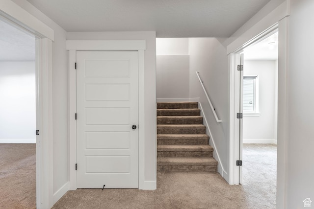 81 E 600 N, Mapleton, UT 84664 - stairway featuring carpet flooring and baseboards