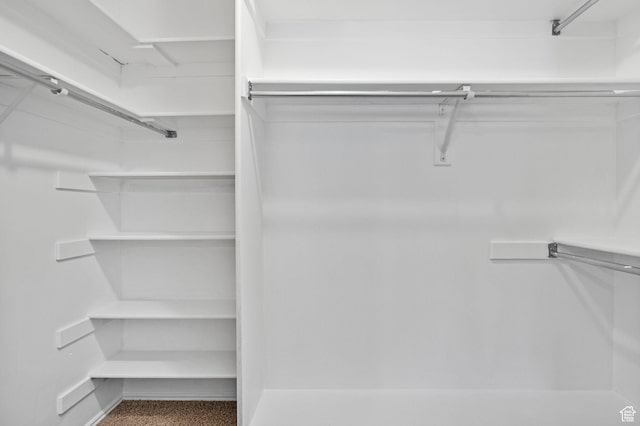 view of walk in closet