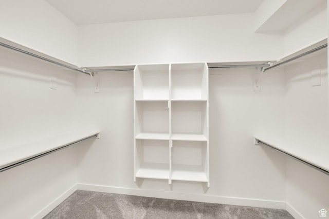 977 S 1480 W, Provo, UT 84601 - walk in closet featuring light colored carpet