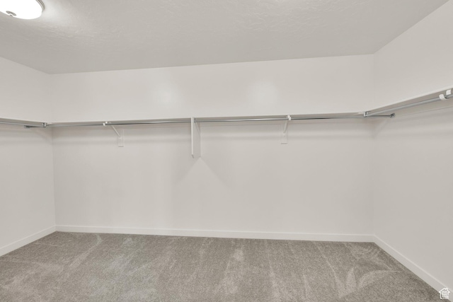 977 S 1480 W, Provo, UT 84601 - walk in closet featuring carpet floors