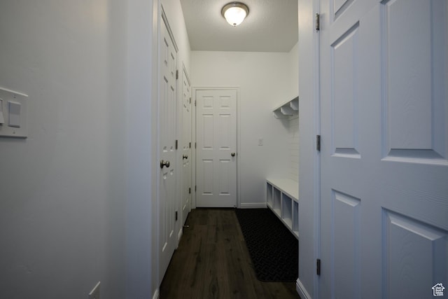 mudroom featuring baseboards and dark wood-style floors