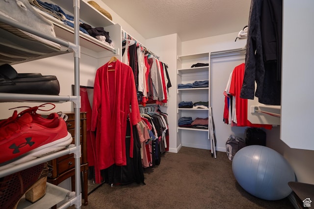spacious closet with carpet