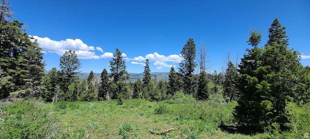 22596 S Snowbird E Unit C31, Spanish Fork, UT 84660 - photo 2