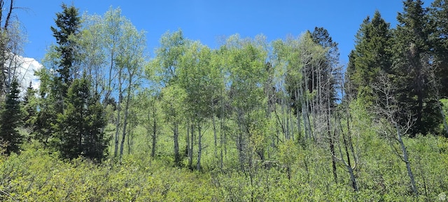 22596 S Snowbird E Unit C31, Spanish Fork, UT 84660 - photo 9