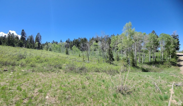 22596 S Snowbird E Unit C31, Spanish Fork, UT 84660 - photo 8