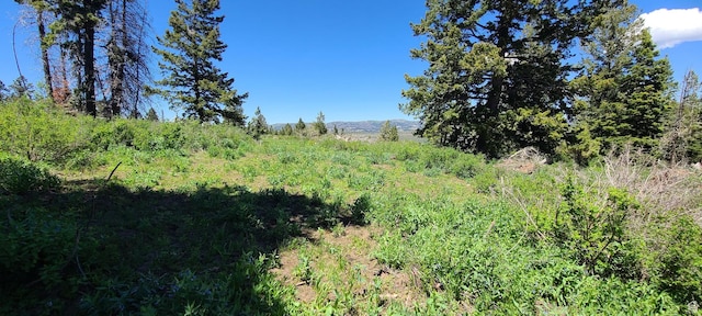22596 S Snowbird E Unit C31, Spanish Fork, UT 84660 - photo 6