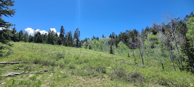 22596 S Snowbird E Unit C31, Spanish Fork, UT 84660 - photo 7