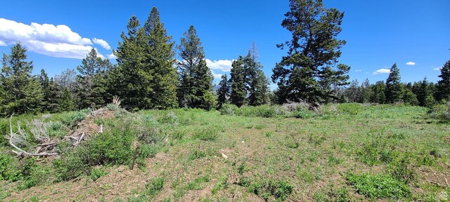 22596 S Snowbird E Unit C31, Spanish Fork, UT 84660 - photo 5