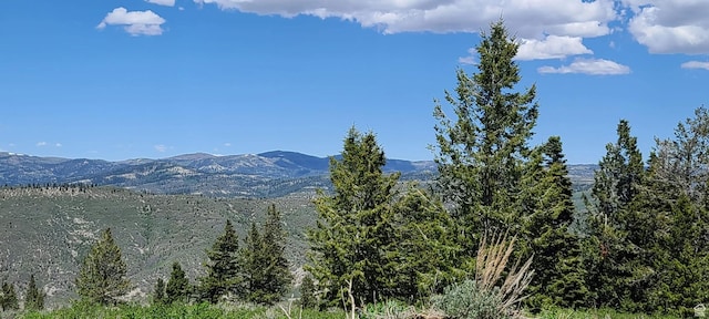 22596 S Snowbird E Unit C31, Spanish Fork, UT 84660 - photo 14