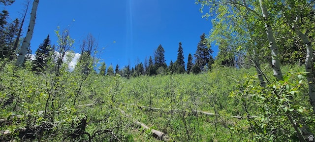 22596 S Snowbird E Unit C31, Spanish Fork, UT 84660 - photo 12