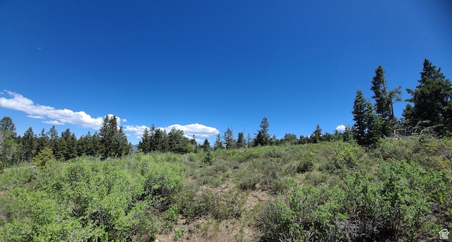 22596 S Snowbird E Unit C31, Spanish Fork, UT 84660 - photo 13