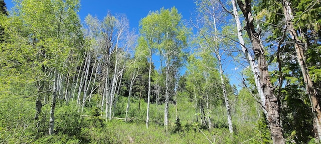 22596 S Snowbird E Unit C31, Spanish Fork, UT 84660 - photo 11
