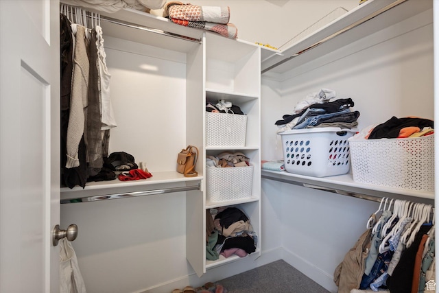 walk in closet with carpet floors