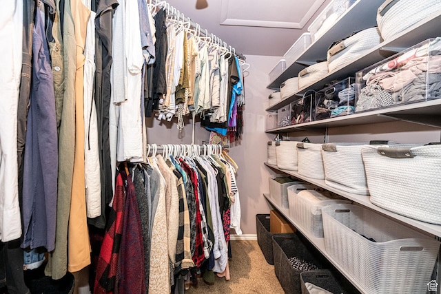2356 E 3900 S, Millcreek, UT 84124 - walk in closet featuring attic access and carpet